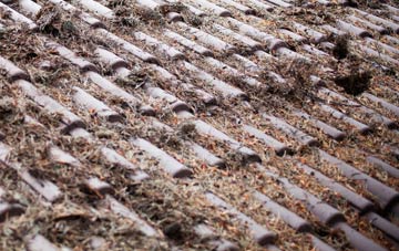 Leigh Park roof cleaning companies